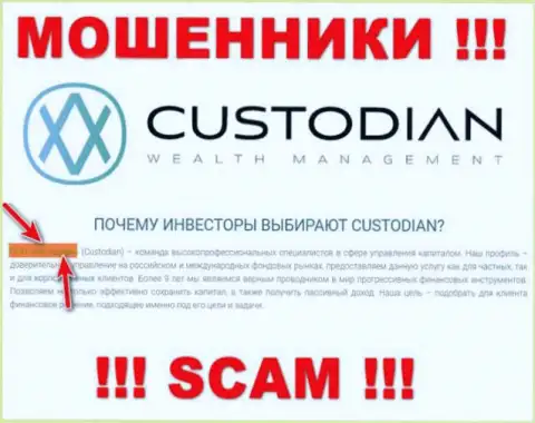 Юридическим лицом, владеющим internet махинаторами Кустодиан, является ООО Кастодиан