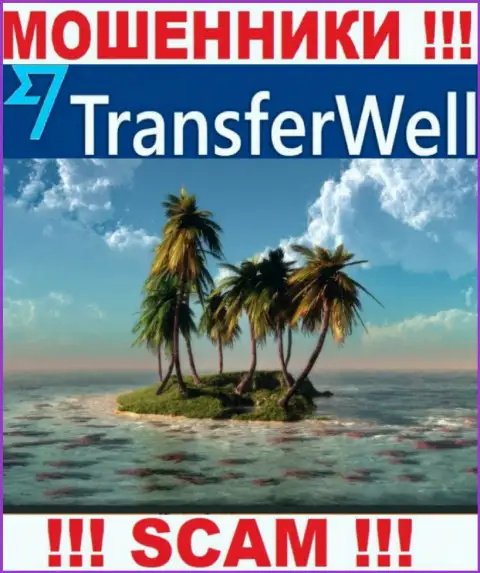 Не попадите в грязные руки интернет-мошенников TransferWell - не предоставляют данные об официальном адресе регистрации
