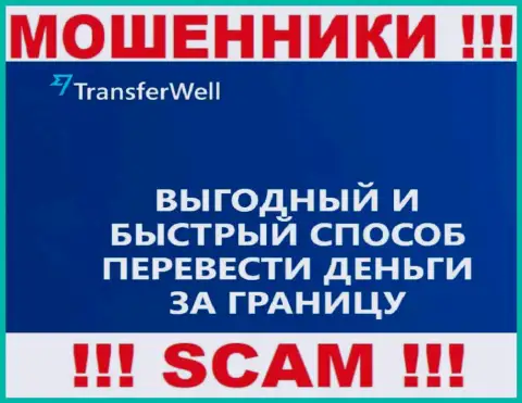 Не верьте, что работа TransferWell Net в направлении Платежная система легальная