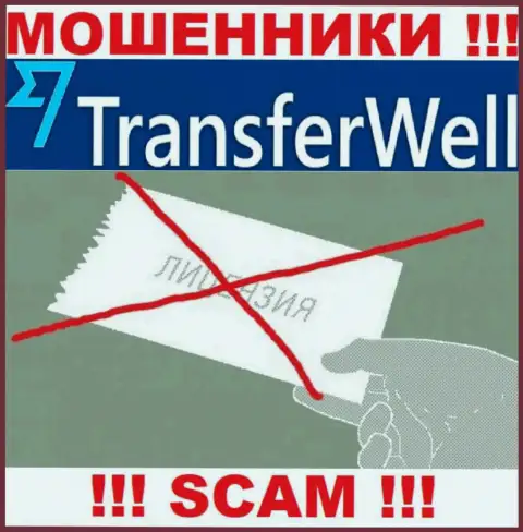 Вы не сможете отыскать сведения о лицензии интернет-мошенников TransferWell Net, так как они ее не сумели получить
