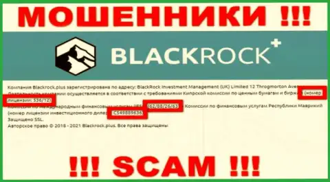 BlackRock Plus прячут свою жульническую суть, размещая у себя на веб-портале лицензию