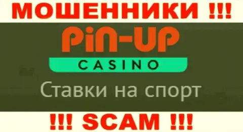 Основная деятельность Pin-Up Casino - Казино, будьте крайне осторожны, действуют противоправно