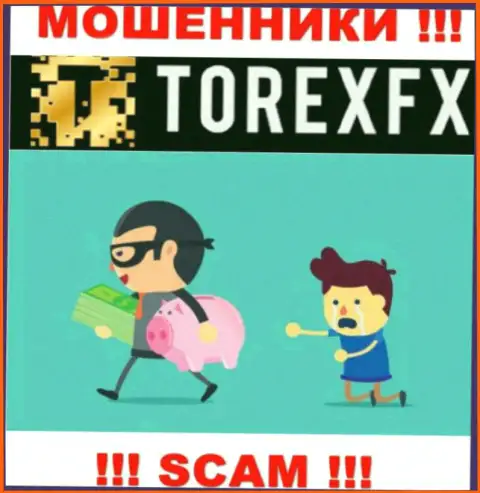 Крайне рискованно взаимодействовать с дилинговой компанией TorexFX - обманывают валютных трейдеров