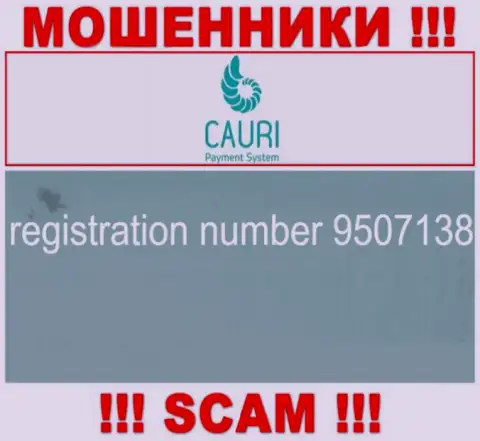 Номер регистрации, который принадлежит незаконно действующей конторе Каури Ком: 9507138