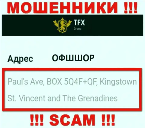 Не связывайтесь с TFX Group - эти internet мошенники сидят в оффшорной зоне по адресу: Paul's Ave, BOX 5Q4F+QF, Kingstown, St. Vincent and The Grenadines