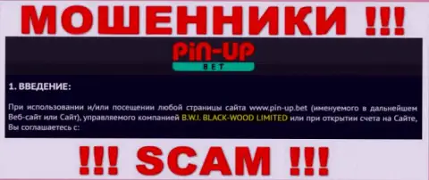 Юридическое лицо организации Pin-Up Bet - это B.W.I. BLACK-WOOD LIMITED, информация взята с официального онлайн-ресурса