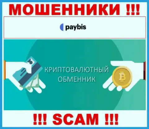 Крипто обменник это тип деятельности жульнической компании PayBis