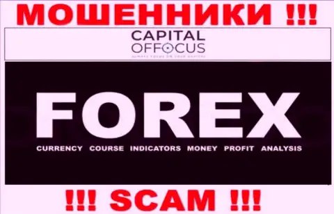 С компанией Capital Of Focus совместно работать крайне опасно, их вид деятельности Forex это замануха
