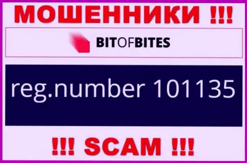 Номер регистрации конторы Bit Of Bites, который они показали у себя на web-ресурсе: 101135