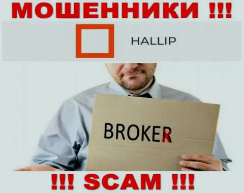 Тип деятельности internet воров Hallip Com это Broker, но имейте ввиду это надувательство !