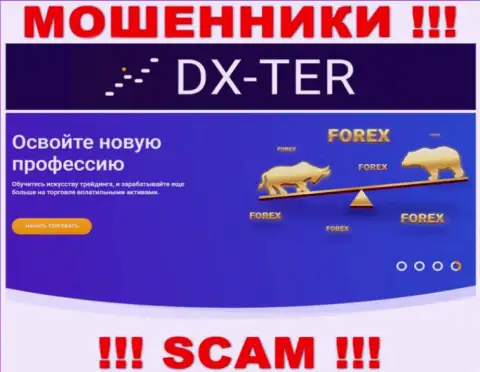 С организацией DX Ter совместно работать нельзя, их направление деятельности Форекс - это разводняк