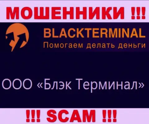 На официальном ресурсе BlackTerminal написано, что юридическое лицо конторы - ООО Блэк Терминал