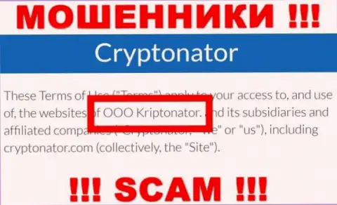 Организация Криптонатор Ком находится под крышей компании OOO Криптонатор