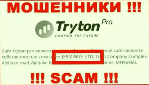 Сведения о юридическом лице Тритон Про - им является контора Jerminus LTD