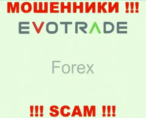 Evo Trade не внушает доверия, Форекс - это то, чем промышляют данные мошенники