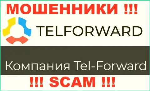 Юридическое лицо Тел Форвард - это Tel-Forward, именно такую информацию расположили мошенники у себя на сайте