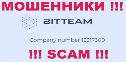 Регистрационный номер организации Bit Team - 12217300