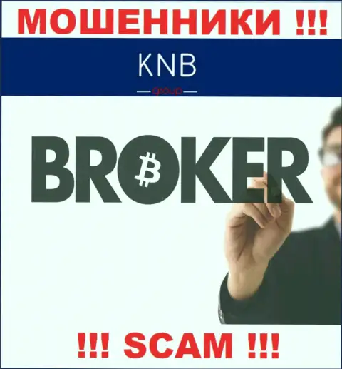 Брокер - именно в указанном направлении предоставляют свои услуги интернет мошенники KNBGroup