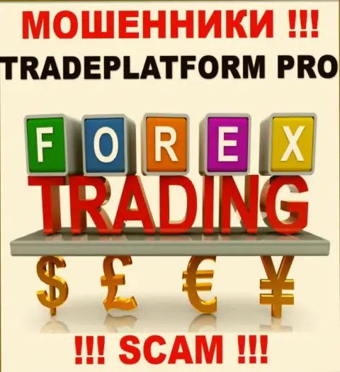 Не стоит верить, что деятельность TradePlatform Pro в сфере FOREX законна