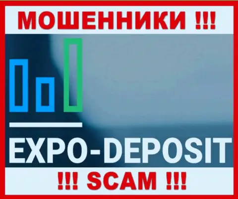 Логотип ЖУЛИКА Экспо Депо Ком