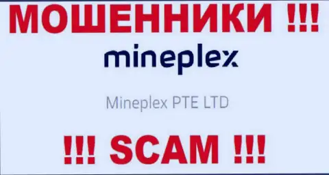 Владельцами МайнПлекс является организация - Mineplex PTE LTD