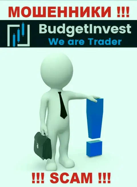 BudgetInvest - это internet-аферисты ! Не хотят говорить, кто именно ими руководит