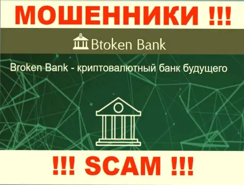 Осторожнее, сфера работы BtokenBank Com, Investments - это кидалово !