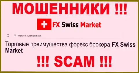 Область деятельности FX SwissMarket: Forex - отличный доход для internet-мошенников