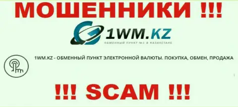 Деятельность интернет-мошенников 1WM Kz: Internet-обменник - это капкан для неопытных клиентов