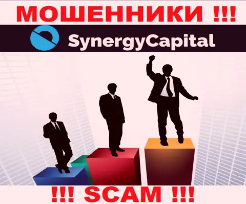 Synergy Capital предпочитают оставаться в тени, информации о их руководстве вы не отыщите