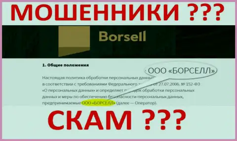 ООО БОРСЕЛЛ - организация, которая руководит интернет-кидалами Борселл