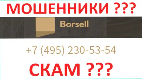С какого телефонного номера позвонят интернет мошенники из Borsell неизвестно, у них их множество