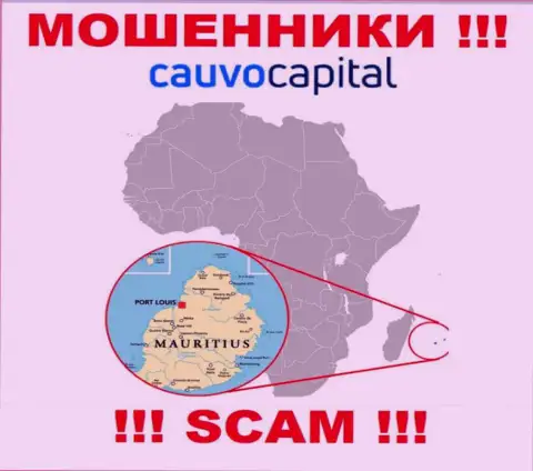 Контора Cauvo Capital ворует вложенные денежные средства людей, зарегистрировавшись в офшорной зоне - Mauritius