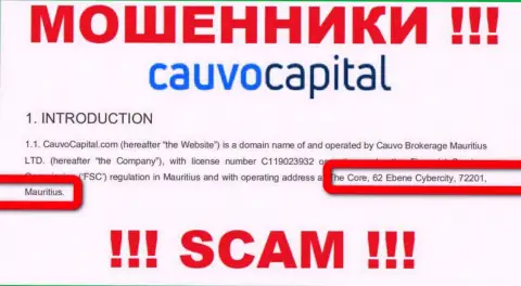 Невозможно забрать обратно финансовые вложения у организации CauvoCapital - они прячутся в офшоре по адресу The Core, 62 Ebene Cybercity, 72201, Mauritius