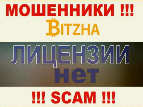 Мошенникам Bitzha 24 не выдали лицензию на осуществление деятельности - сливают денежные вложения