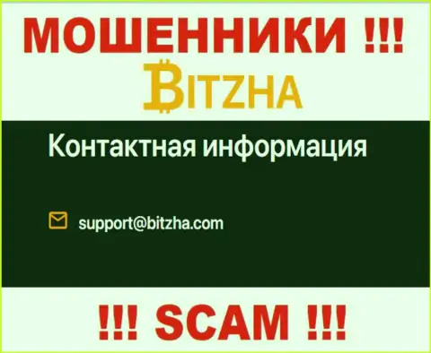 E-mail разводняка Bitzha, инфа с официального информационного портала