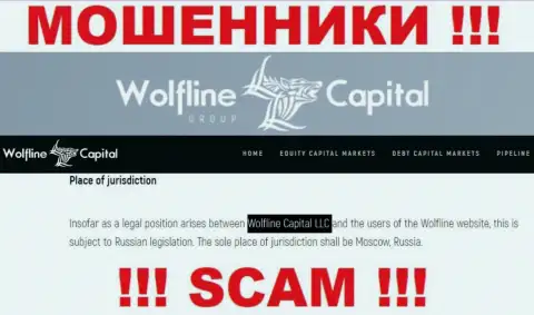 Юр лицо компании Wolfline Capital - это ООО Волфлайн Капитал