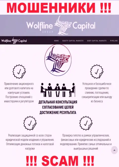 Не верьте, что область работы Wolfline Capital - Финансовый консалтинг законна - кидалово