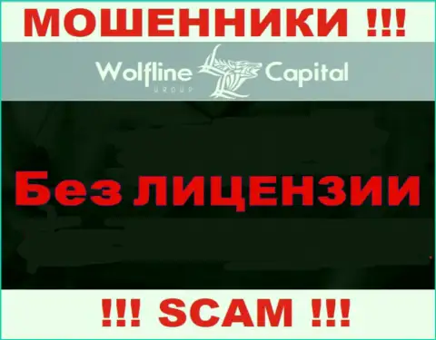 Нереально найти сведения о лицензии на осуществление деятельности махинаторов Wolfline Capital - ее попросту нет !
