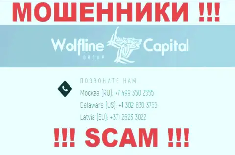 Будьте весьма внимательны, если звонят с левых номеров, это могут оказаться разводилы Wolfline Capital