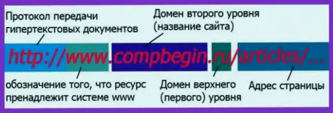 Информация об устройстве доменных имен сайтов