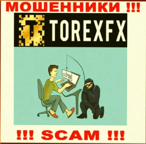 Мошенники TorexFX могут попытаться развести Вас на финансовые средства, только имейте в виду - это слишком рискованно