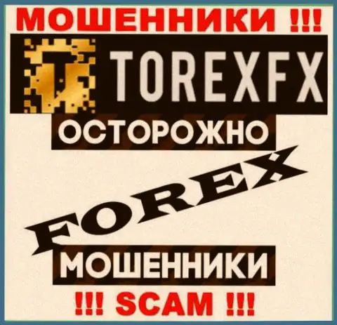 Сфера деятельности ТорексФХ: Forex - хороший заработок для internet ворюг